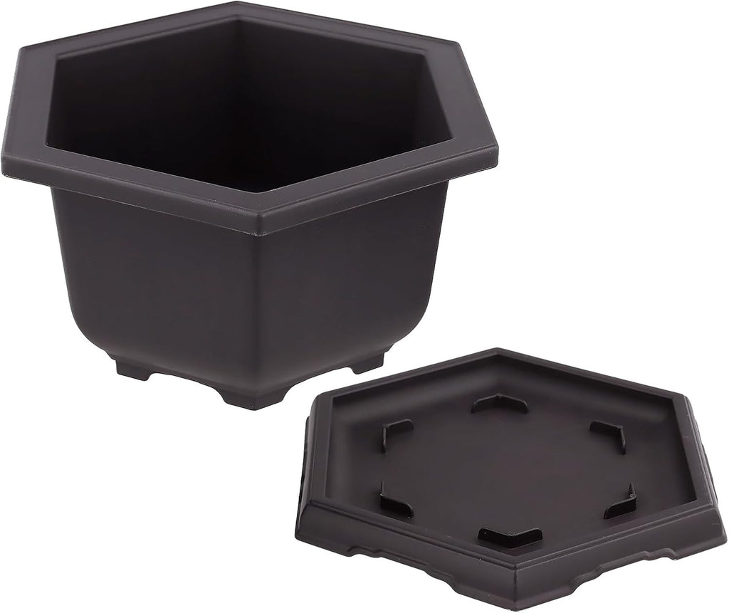 10 Pack 5.5 Inch Bonsai Pots, Hexagon Built in Mesh Plastic Bonsai Training Pots with Trays, Plant Flower Tree Growing