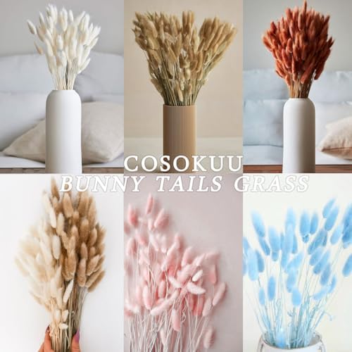 Bunny Tails Dried Flowers Boho Decor Pampass Grass 100pcs Floral Stems Decoration Plants 17 Inch (Burnt Orange)