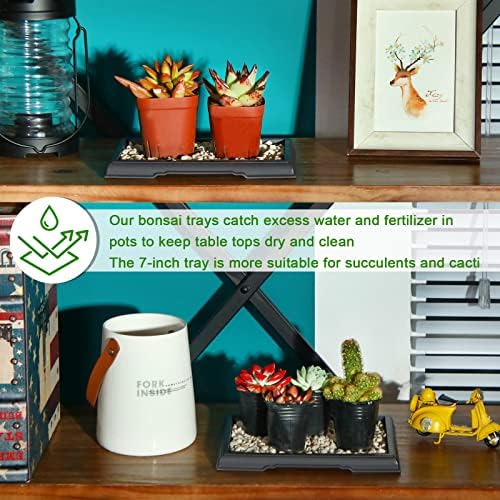 Pinkunn 2 Pcs Bonsai Humidity Tray for Indoor Plants,7.8 X 5.5 Inch