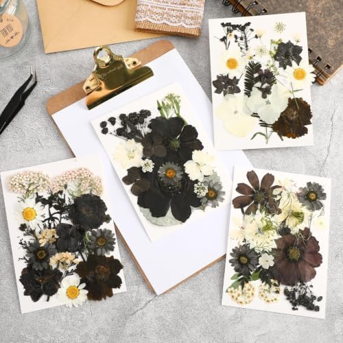 Augshy Halloween Black Pressed Dried Flowers for Resin Molds Crafts