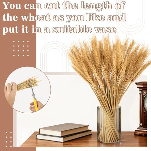 Sukh 100 Stems Dried Wheat Stalks - Boho Fall Decor for Home & Wedding