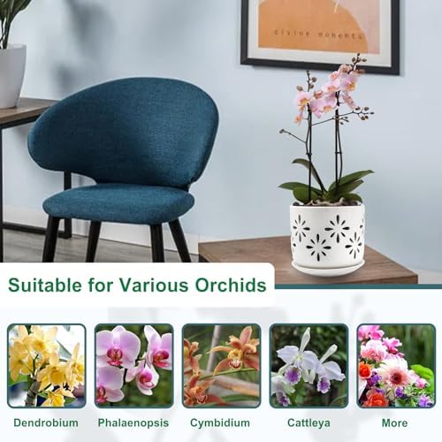 Orchid Pots with Holes, 5+6in Orchid Planter with Tray，2Pcs-White