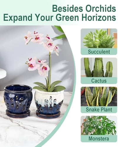 vensovo 2 Pack 4 inch Orchid Pots with Holes and Saucers, Blue and Brown