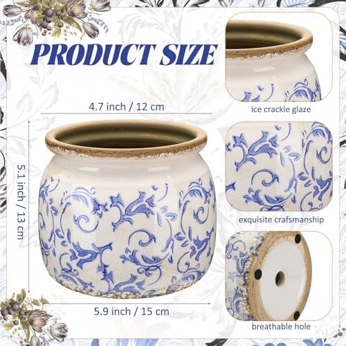Vintage Planter Large Ceramic Plants Pot Blue Chinoiserie Pot