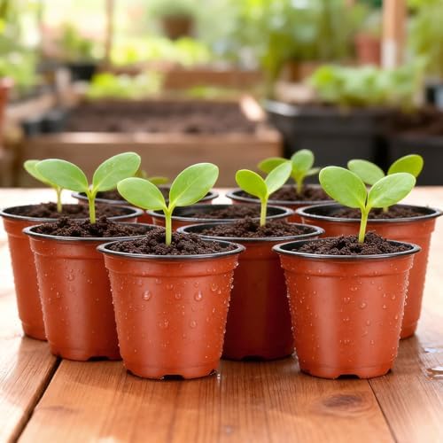 KINGLAKE 100 Pcs 4" Plastic Plants Nursery Pot/Pots Seedlings Flower Plant Container Seed Starting Pots,4 Inch,Red (Pack of 4)
