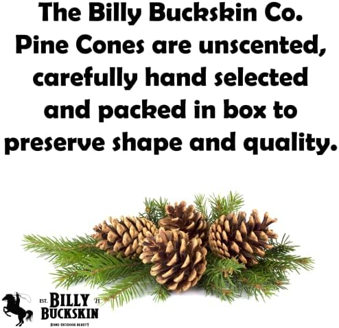 Billy Buckskin Natural Pine Cones for Decorating & Crafts 100-Pack Mix Size