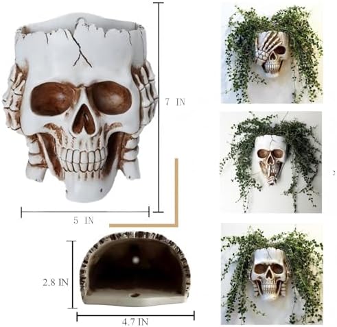 Resin Gothic Skeleton Air Plant Planter for Tilandsia(7'' No.3)