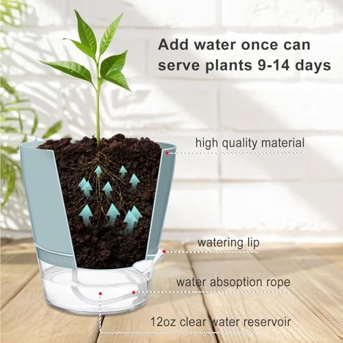 Hayder Plant Pots 6 inch Set of 6, Self Watering Flower Pots