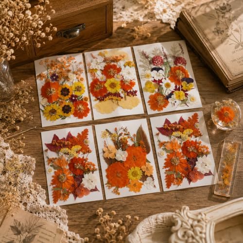 277 Pcs Autumn Dried Flowers for Crafts,Real Nature Dried Flowers for Resin