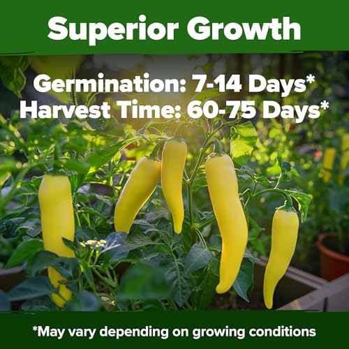 HOME GROWN Banana Pepper Seeds, 94+ Seeds, Capsicum annuum