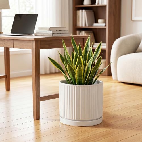 10 Inch Plant Pot, Ceramic Planters, Round Flower Pots, White