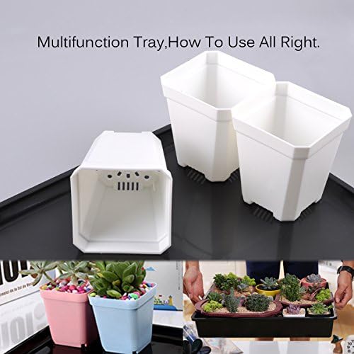 eZAKKA 14.6" x 11.8" Seed Starter Tray Kit with Dome, 20 Cells, White