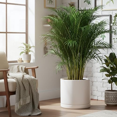 D'vine Dev 16 Inch Ceramic Planter Pot, White, 94-O-H-1