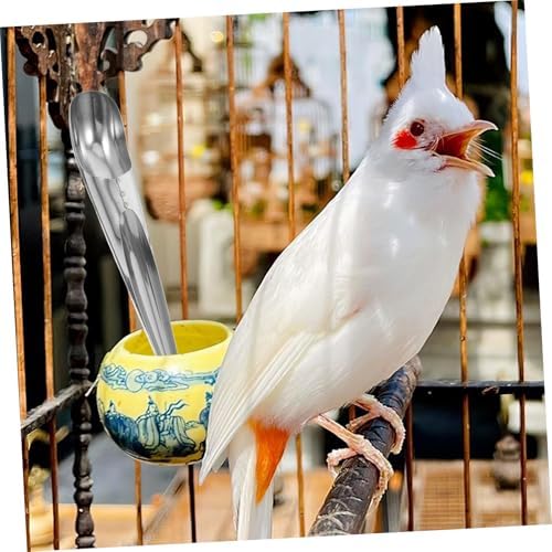 BESPORTBLE Stainless Steel Bird Feed Scoop Parrot Food Filling Scoop Tool Pet Food for Bird Feeders 8.07 in Feeding Accessory for Indoor and Outdoor Use