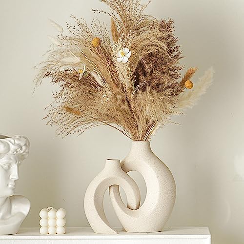 Lvases Snuggle Hollow Ceramic Vase Set of 2, Boho Tabletop Home Decor Vases