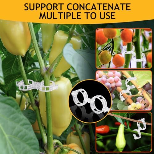 200Pcs Secured Plant Support Clips - Tomato Clips for String Trellis, Grape Vine Grid Clamp for Garden Netting Climbing Plants, Fixing Stem and Vine (White)