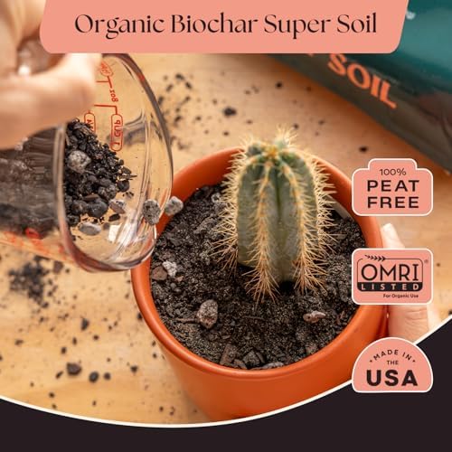 Rosy Soil Cactus & Succulent Potting Mix, 4 Quarts