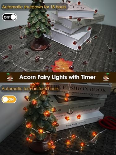 EXF Fall Decor Acorn Fairy Lights Battery Operated with Remote 10FT 30 LED