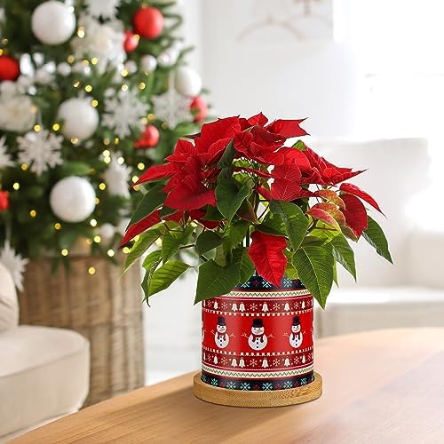 Tioncy 6 Pcs Christmas Succulent Pots 3.15'' Small Christmas Planters