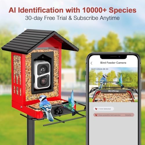 birdsnap® APS Metal Bird Feeder with Camera Solar 2K Video with 32GB Card