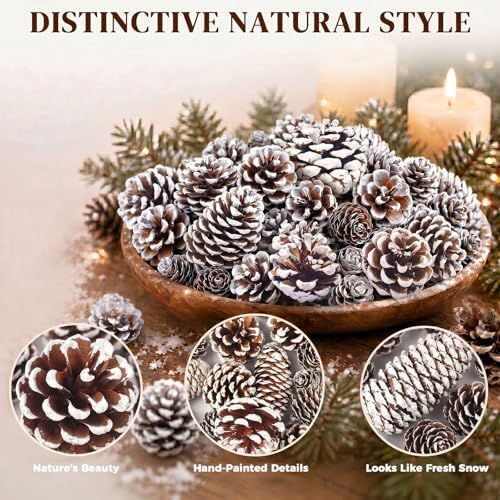 JOHOUSE 40 PCS Snow Pinecones Decor, Natural Pine Cones Bowl Fillers