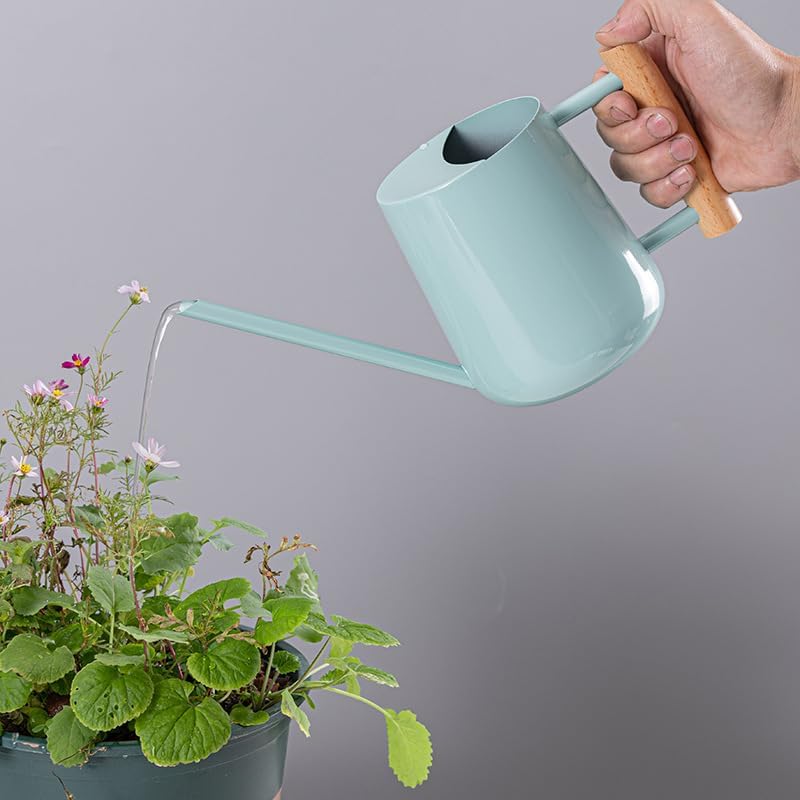 Watering Can Indoor Plants, 30oz/900ml Small Plant Watering Can with Long Spout, Stainless Steel Garden Watering Cans