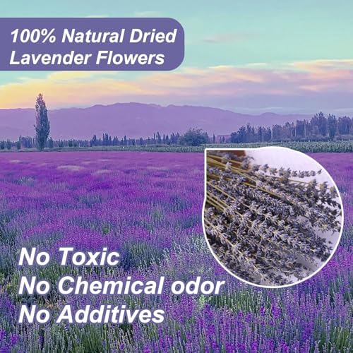 Dried Lavender Bundles, Purple Dry Lavender Flower, 17" Natural Dried Flowers Bouquet for Wedding Vase Decor, Home Fragrance, Bathroom, Photo Props, Crafts, Flower Arrangements, 2 Bundles Pack