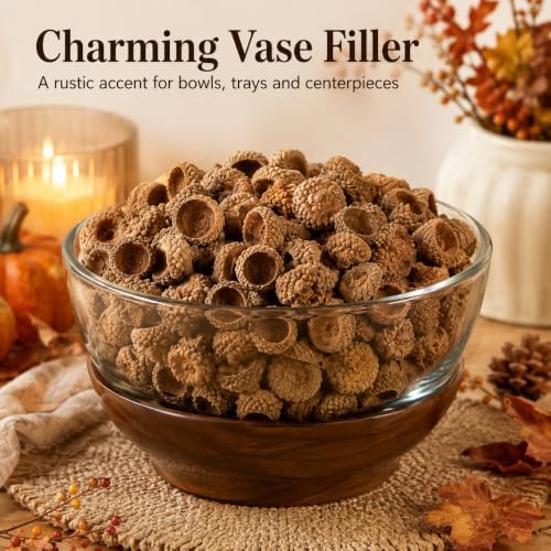 100Pcs Natural Acorn Caps for Crafts, Dried Acorn Tops Fall Decor