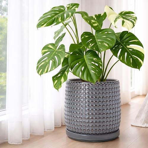 D'vine Dev Beaded Ceramic Pot with Saucer, 10 in, Graphite Blue, 27-C-P-9
