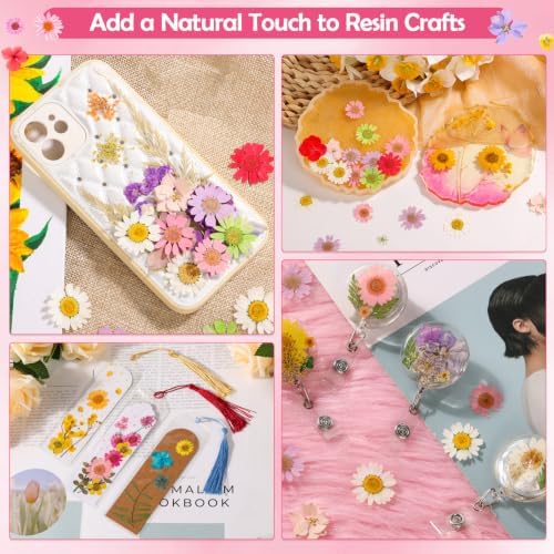 481 PCS Pressed Flowers for Crafts, Real Dried Pressed Flowers Nature Dry Flower Leaves Bulk for Resin Jewelry Making Scrapbooking Candle Soap Making Nails Frame Décor