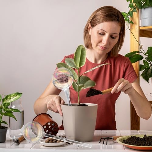 6PCS Plant Watering Globes,Iridescent Rainbow Clear Watering Bulbs,Glass Self Watering Planter Insert,Watering Bulbs for Flowerpot,Indoor,Outdoor,Hanging Plants Home Garden(3 Large+3 Small)