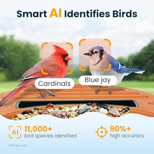Smart Bird Feeder with Camera, Green
