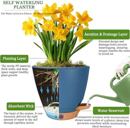 6 Inch Small Self Watering Pots for Indoor Plants, 5-Pack