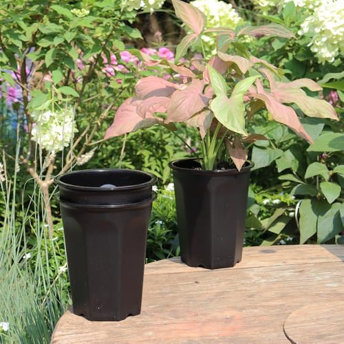 10 Pack 5.30 Inch Black Plastic Deep Nursery and Seedling Pots, Round Planter Container for Transplanting, Cutting, Succulent