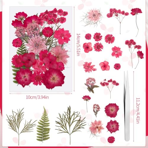100 Pcs Real Natural Dried Pressed Flowers Pink