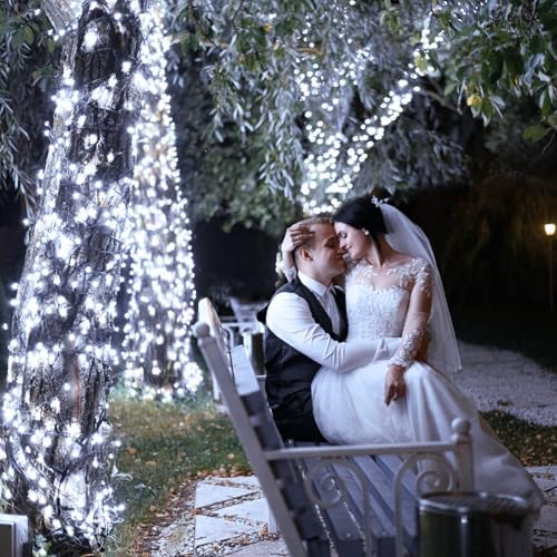 2 Pack Christmas Lights Outdoor, Total 200FT 600 LED Christmas Tree Lights