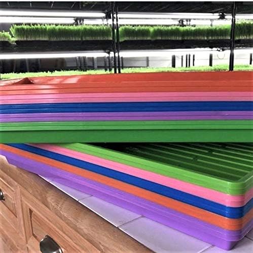 Bootstrap Farmer Extra Strength 1020 Trays | Green | 30 Trays with Holes