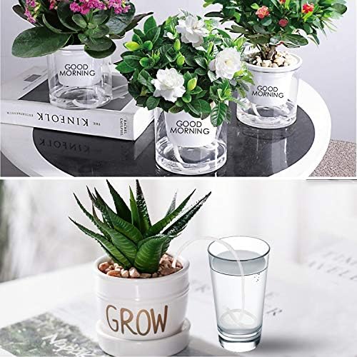 Augshy 1/6 Inches Self Watering Wick Cord String Cotton Rope for DIY Plant Automatic Watering Device (40 Feet)