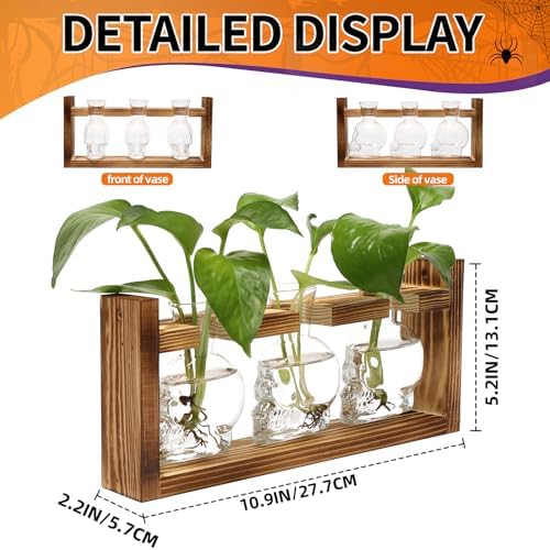 Plant Terrarium Propagation Stations Skull Planter Vase Skulls Decor