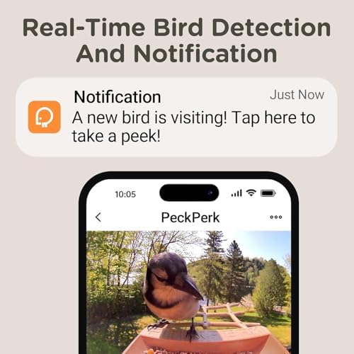 Bird Feeder with Camera Solar Powered, Smart Birds Feeder for Outside, AI Bird Identification Auto Capture Videos Pictures, 2K Live Feed Cam for Backyard, Ideal Gift for Birds Lover (Brown)