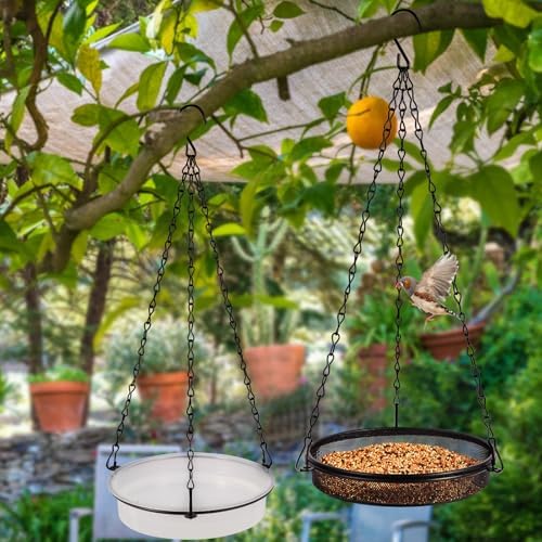 HRAYLTOP 2-in-1 Set Hanging Bird Feeder and Bath for Outdoor, Small Metal Tray Perfect for Attracting Bird