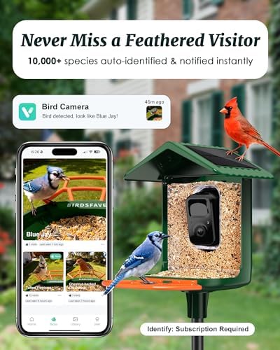 Bird Feeder with Camera Solar Powered 2K Video with 32GB Card Auto Capture
