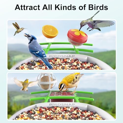 birdsnap® PAV Bird Feeder with Camera Solar Powered 2K Live Video 64GB Card