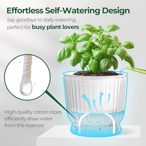 T4U Self Watering Pots for Indoor Plants 6 Inch 4 Pack Planter Clear