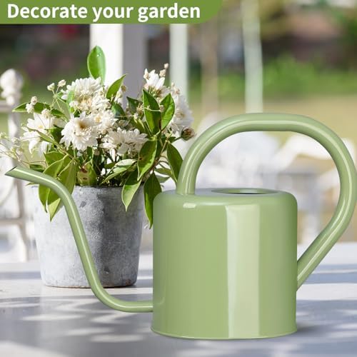 Watering Can, Stainless Steel Watering Can for Indoor & Outdoor Plants, 1L/35oz Long Spout Water Can with Handle, Rust-Proof Plant Watering Pot for House Plants, Garden Flowers