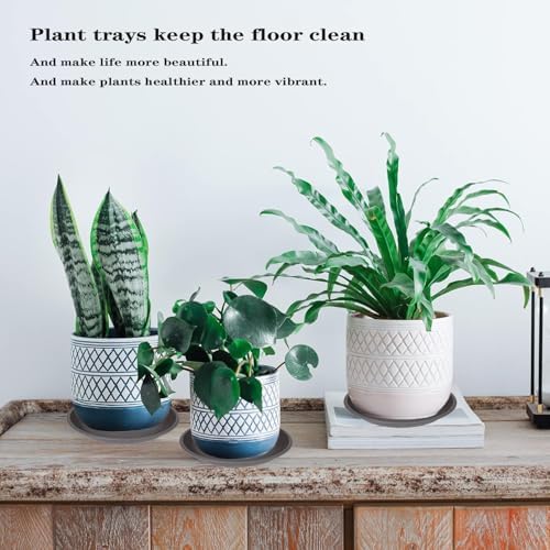6 Pack of 6 inch Plant Saucer, Large Plant Tray, Heavy Sturdy Plant Drainage Tray for Indoors, Bird Bath Bowls, Sturdy Plastic Pot Tray for Planter (Brown)