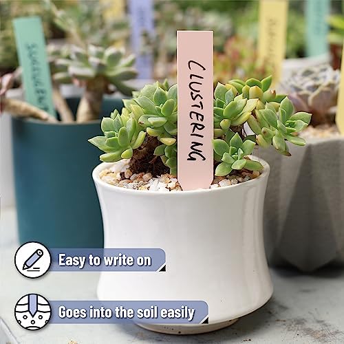 Mr. Pen- Plastic Plant Labels, 100 Pcs, 4“, Pastel Colors Plant Markers