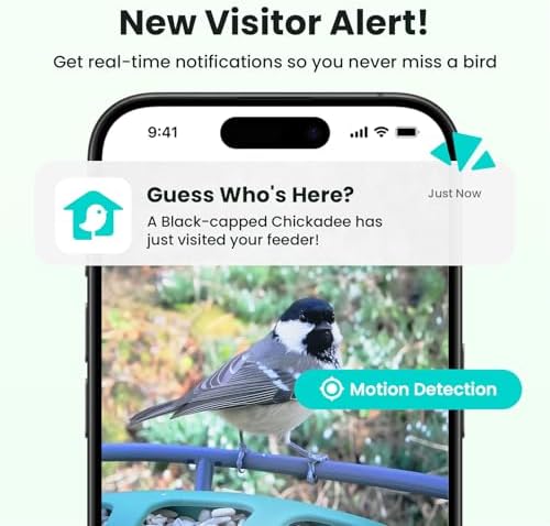Birdfy 2 Pro Solar Bird Feeder Camera, Dual-Lens 2K+1080P, 7-Day AI Trial