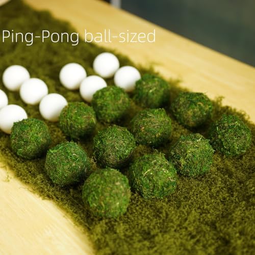 BYHER Natural Green Moss Decorative Ball,Handmade (2"-Set of 12)