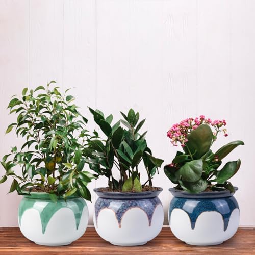 Self Watering African Violet Pot 6 Inch Ceramic Planter-Red